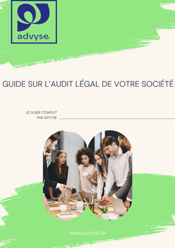 Guide audit légal société